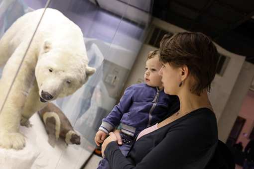 The 10 Best Educational Activities for Children in Kentucky!