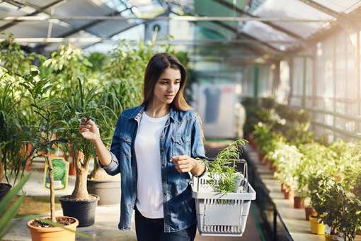 9 Best Garden Centers and Nurseries in Kentucky!