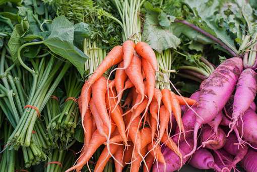 7 Best Markets in Kentucky